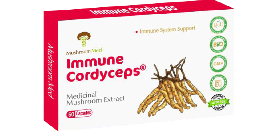 Cordyceps